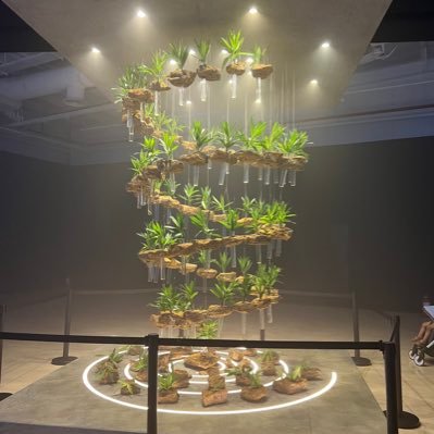 fullsiderip's profile picture. 