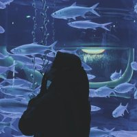 Erika Putri Ayu (@erikaputriayu) 's Twitter Profile