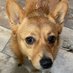 photoguy15237 (@photoguy15237) Twitter profile photo photoguy15237 (@photoguy15237) Twitter profile photo