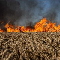 merla (@aviatgen) 's Twitter Profile