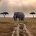 Francois vd Westhuizen (@daniel12623971) Twitter profile photo Francois vd Westhuizen (@daniel12623971) Twitter profile photo
