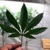 DaddyJ (@daddyj420xxx) Twitter profile photo DaddyJ (@daddyj420xxx) Twitter profile photo