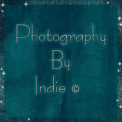 @NikonBug86