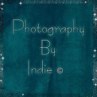 PhotographybyIndie (@nikonbug86) 's Twitter Profile