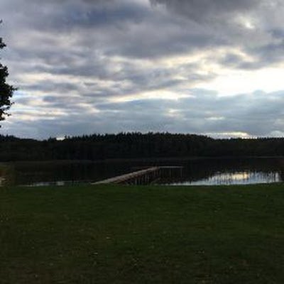 Silvana28807193's profile picture. 