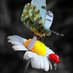 Anthony Claudio (@anthony18584572) Twitter profile photo Anthony Claudio (@anthony18584572) Twitter profile photo