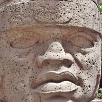 Soy Olmecatl,Olmec,Negro(@PatriotMe1) 's Twitter Profile Photo