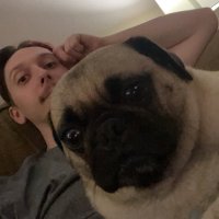 austin (@laneyaustin) 's Twitter Profile