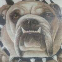 University Bulldogs(@udogathletics) 's Twitter Profile Photo