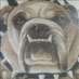 University Bulldogs (@udogathletics) Twitter profile photo