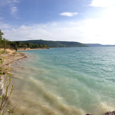 FokTigo's profile picture. 