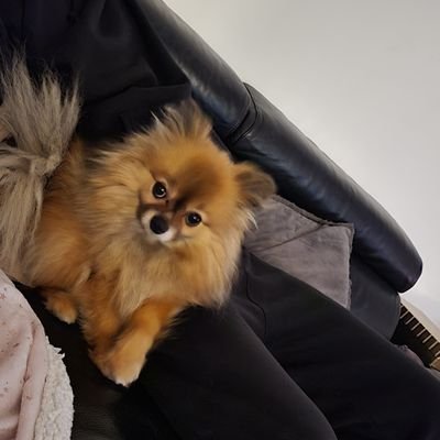 Charo47972647's profile picture. universal patriot