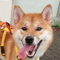 fun&joy (@funjoyfunandjoy) 's Twitter Profile Photo fun&joy (@funjoyfunandjoy) 's Twitter Profile Photo