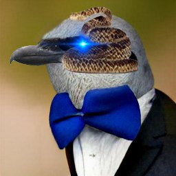 BowTiedShrike Profile Picture