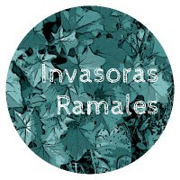 Invasoras Ramales (📧invasorasenramales@gmail.com)(@InvasoRamales) 's Twitter Profile Photo