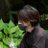 飛鳥のアイコン