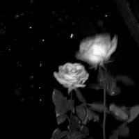 ♡ (@sntr_m210) Twitter profile photo