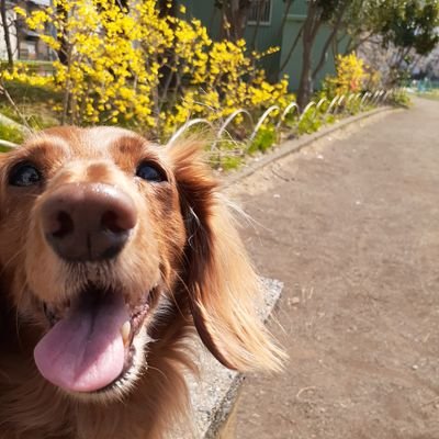 水族ドットコム Profile