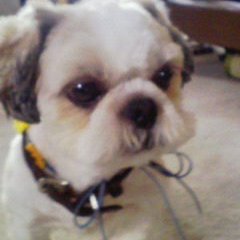 takemasa2's profile picture. 