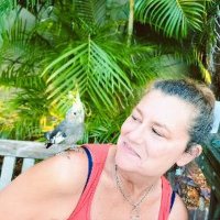 kay cantrell - @kaycant60859276 Twitter Profile Photo