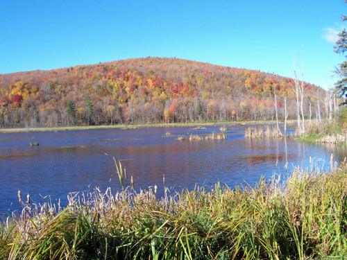 Gatineau Park is a park in name only! Keep up with the pressures faced by the park and what you can do to help.
Gatineau Park: Yours to Protect