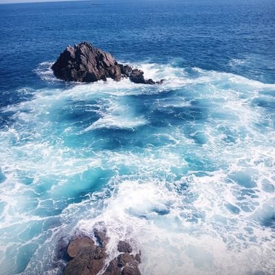 정치/경제/노무현♡/문재인♡