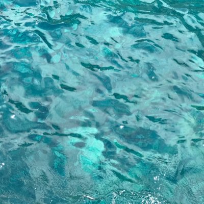 りんうそうせい 𓆝𓇼𓆉さんのプロフィール画像