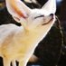 🦊모쥬💫🕯 (@lo00u) Twitter profile photo 🦊모쥬💫🕯 (@lo00u) Twitter profile photo