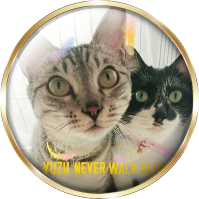 猫派 カード検索 ｜ Z/X - Zillions of enemy X - ゼクス公式サイト