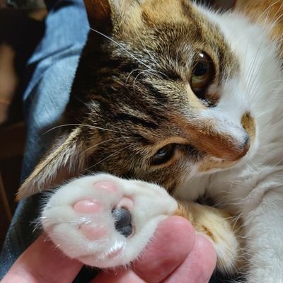 Jiro98337337's profile picture. オーディオ好き！バイク好き！