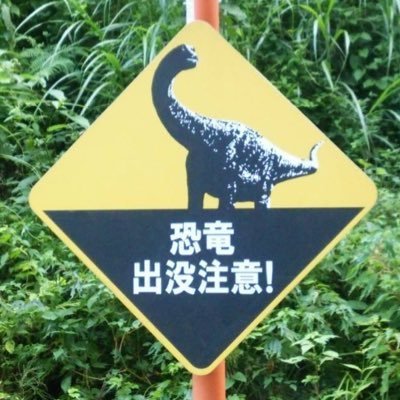 恐竜は大好きだけど知識はにわかな高校生です🦕 推しはプロトケラトプスとカマラサウルス、そして日本で出土した恐竜たちです! 恐竜が大好きなにわかがただただ恐竜を語ったり絵を描いたりするだけですが、恐竜が大好きだ!!という同志の皆さん、どうかフォローしてくれると嬉しいです!!!!※基本的にフォロバはします、多分。