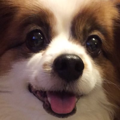 あかネーズさんのプロフィール画像