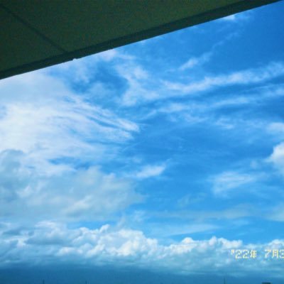 WindNoi's profile picture. かぜとわたし