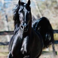 وصـــــــــاف (@q8msssss) 's Twitter Profile Photo