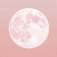 嘉多宝JDB MOON (@jdb_moon) 's Twitter Profile