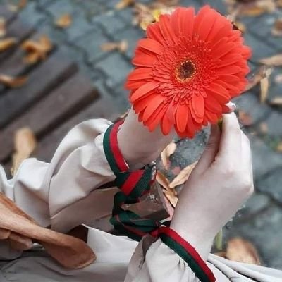 اللهم خير الأمور وخير الأيام ..ممنوع دخول الخاص نهائيا لا أريد احراج أحد ..🚫