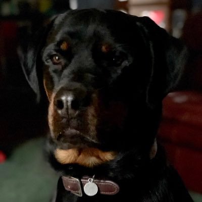 rextur007's profile picture. Army Vet 🇺🇸 | Law Enforcer 🚔 | RV Adventurer 🏞️ | My motto: "4 Quarters are better than a 100 Pennies" | 🔴