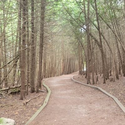 yekiranidartoro's profile picture. no bio