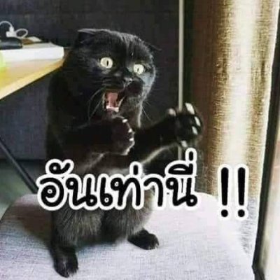 1992Mayasun's profile picture. food