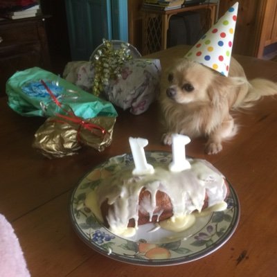 morty_george's profile picture. 