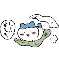 kupo (@kupo_hachi) 's Twitter Profile