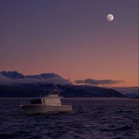 ايمن (@aiman73822) 's Twitter Profile