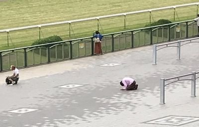 sodane777's profile picture. 昔やっていた競馬を最近復活しました