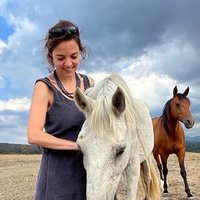 Martina Torrades (@torradesmartina) 's Twitter Profile