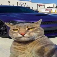 Frag (@absolute_beast1) Twitter profile photo