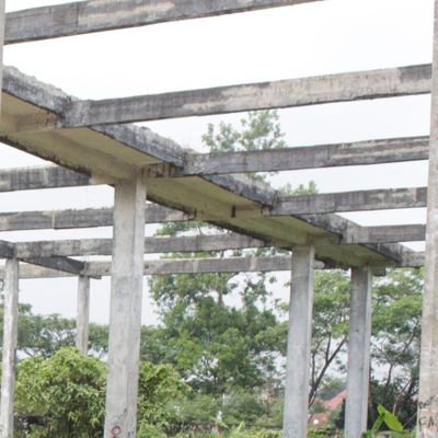 cloudfree8's profile picture. 