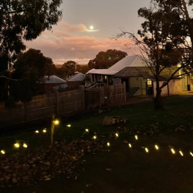 Arts Admin. Theatre maker. ( local stages). event manager. pet mum. Central West NSW