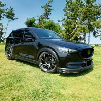 BlackEdition-cx5(@cx5black) 's Twitter Profile Photo