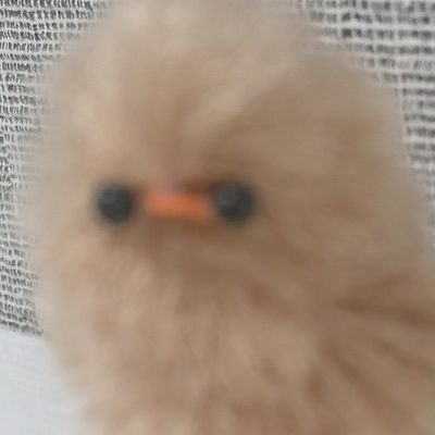 zettn300's profile picture. 