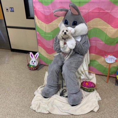 CarlSpahn's profile picture. 🪤⭐️-🐿🥜